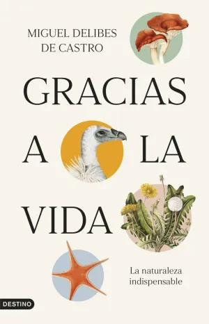 GRACIAS A LA VIDA