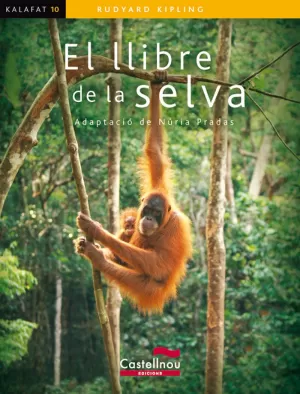 LLIBRE DE LA SELVA,EL